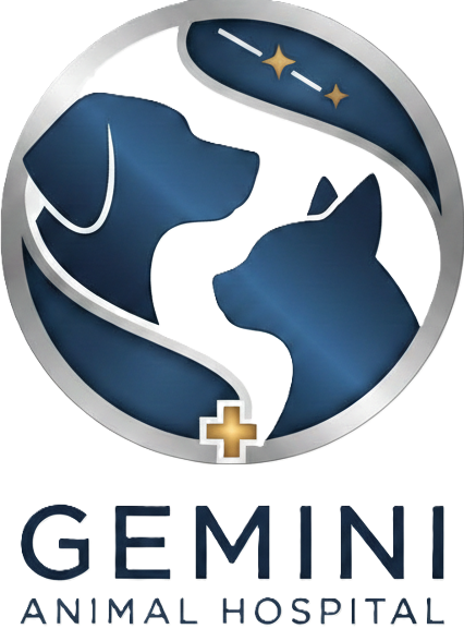 Gemini Logo